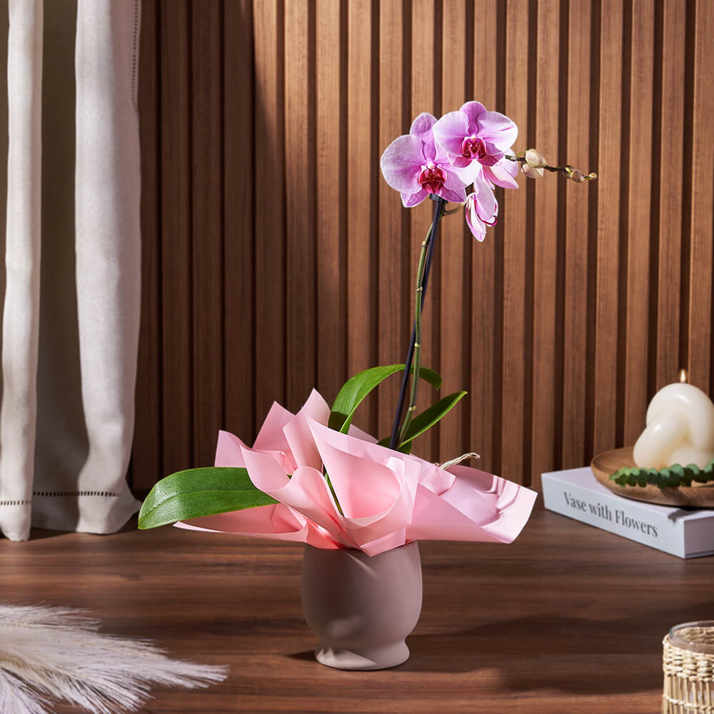 Year-Round Bloom Orchid Plant – how the gift is presented