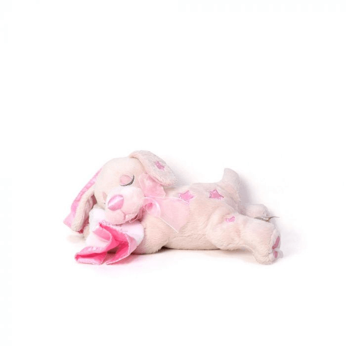 Welcome Newborn Baby Girl Gift Basket from Maine Baskets - Baby Gift Set - Maine Delivery