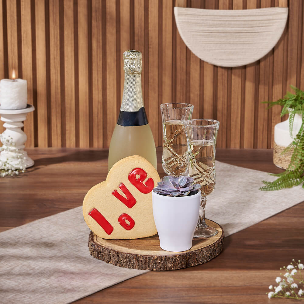 Sparkling Wine and Succulent Gift, Maine – how the gift is presented