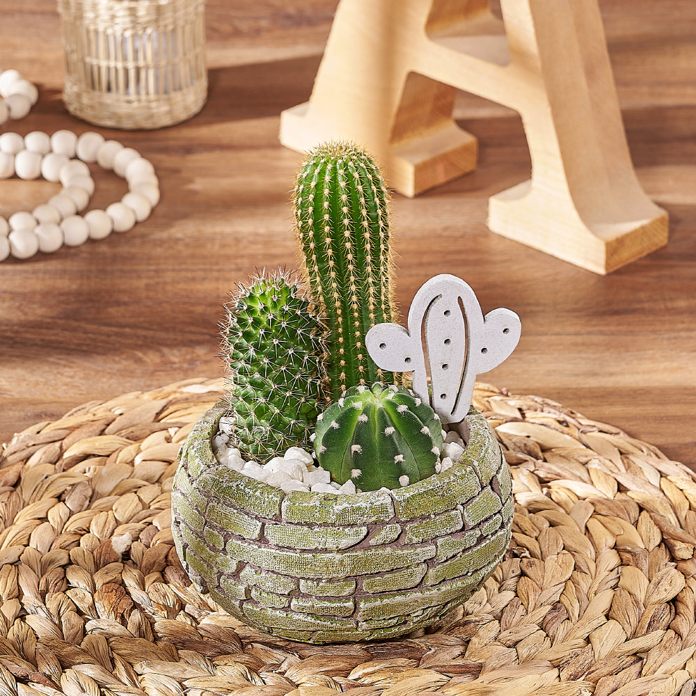 Assorted Cactus Trio in Brick Planter – how the gift is presented