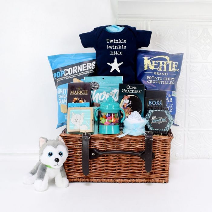 Gift Basket for Little Baby Shower with Plush Husky and Snacks – how the gift is presented