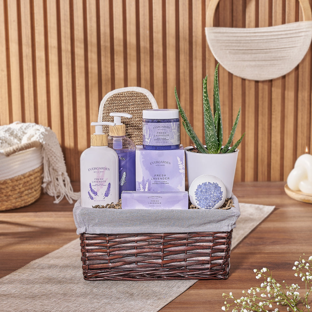 Natural Beauty Succulent &amp; Spa Gift Set from Maine Baskets - Spa Gift Basket - Maine Delivery