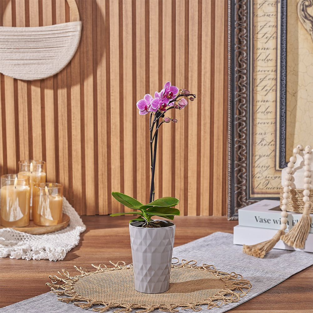 Indoor Pink Orchid – how the gift is presented