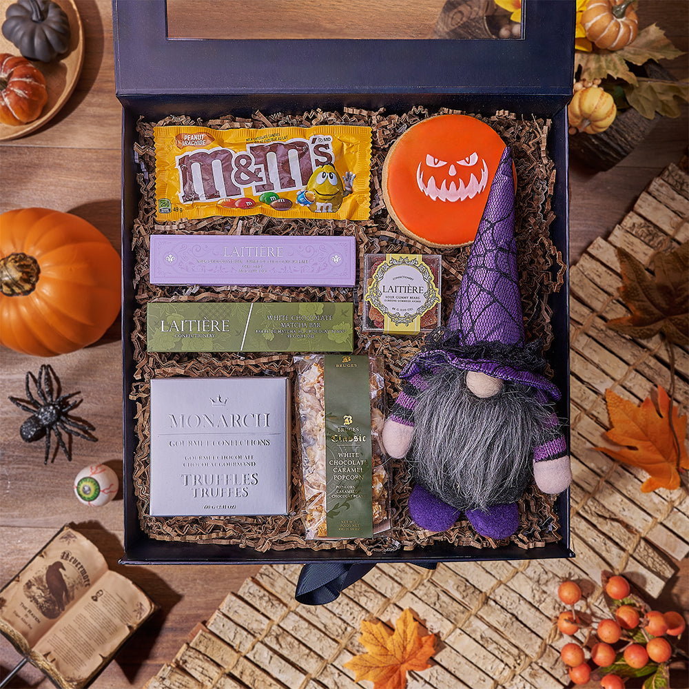 Albus the Wizard Plush with Halloween Snack Gift Box – how the gift is presented