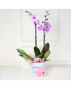 Valentine’s Day Orchids Gift Basket, gourmet gift baskets, floral gift baskets, Valentine's Day gifts, gift baskets, romance
